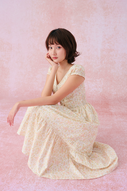 Sylvie dress