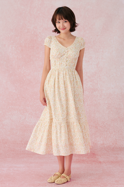 Sylvie dress