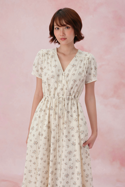Vanilla dress in Countryside Calico