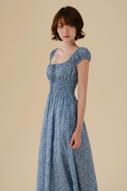 Marie dress in Blue Picnic