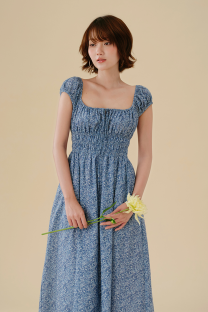Marie dress in Blue Picnic
