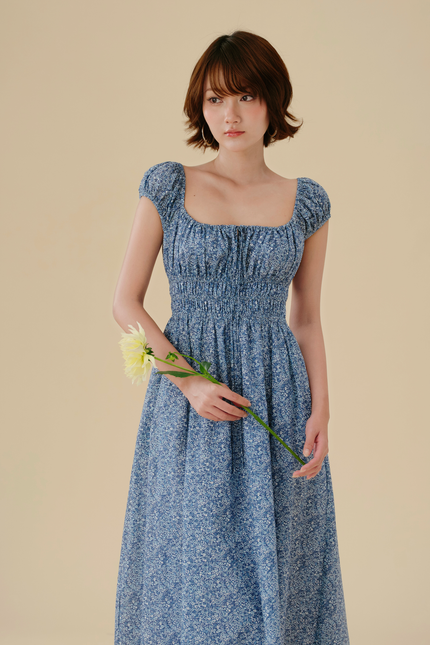 Marie dress in Blue Picnic