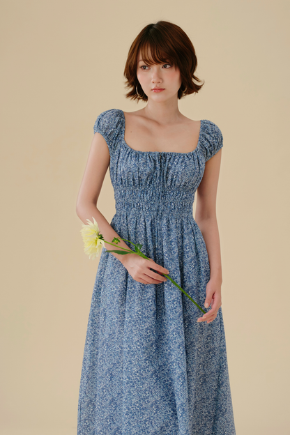 Marie dress in Blue Picnic
